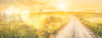 Perseverance: The Journey Now and Then