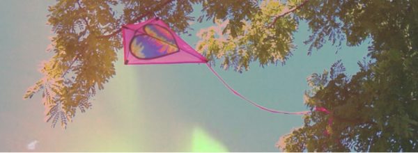 Kites Eaten by Trees, Footballs Missed